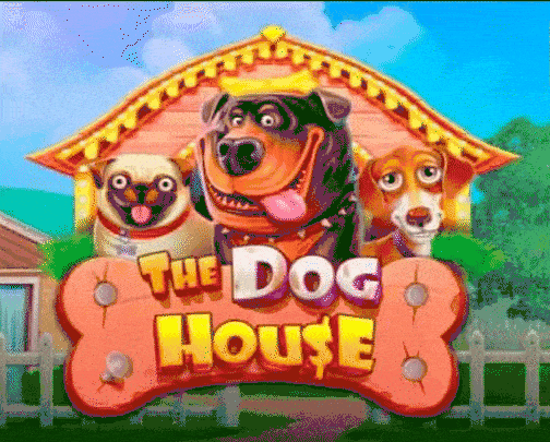 play The Dog House in f casino